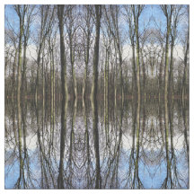 Tela de la foto del bosque del invierno