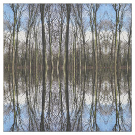 Tela de la foto del bosque del invierno