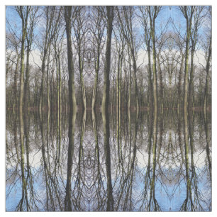 Tela de la foto del bosque del invierno