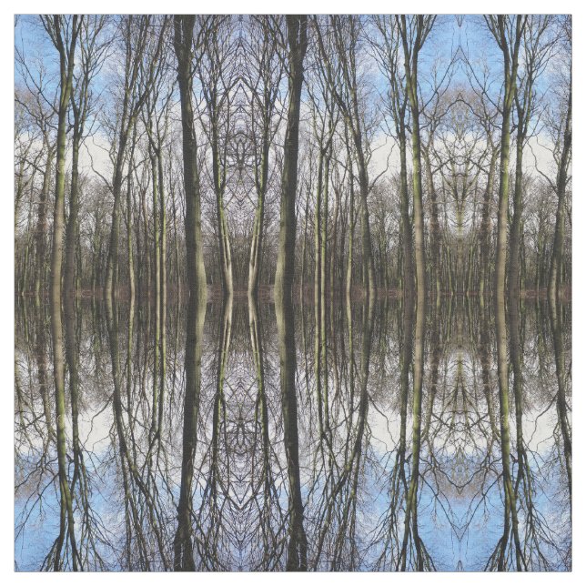 Tela de la foto del bosque del invierno (Retal)