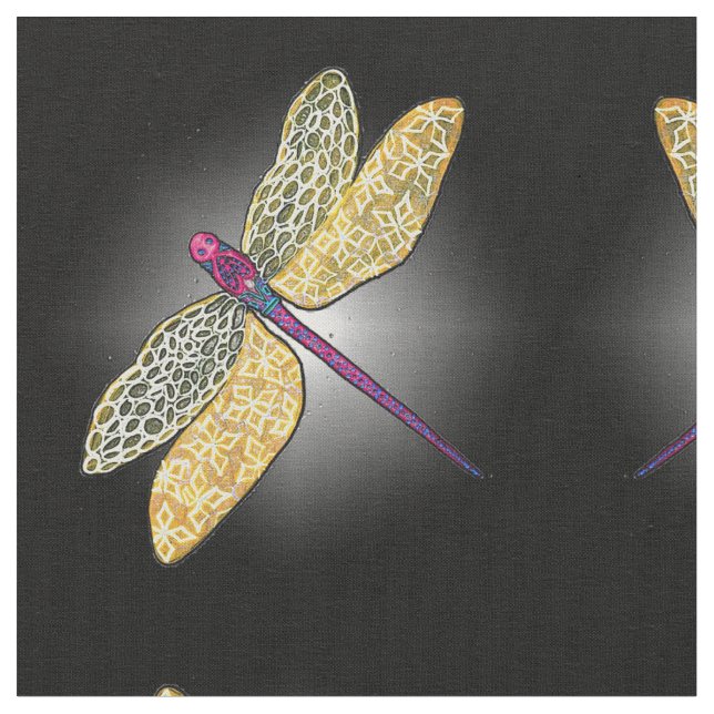 Tela de la libélula (De cerca)