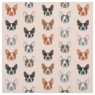 tela de las cabezas de Boston - perros adorables