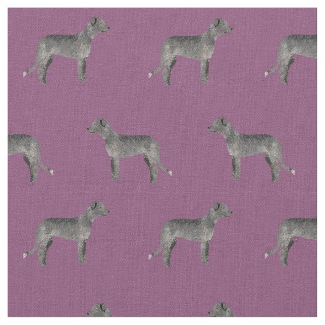 tela de lobo irlandés púrpura (De cerca)