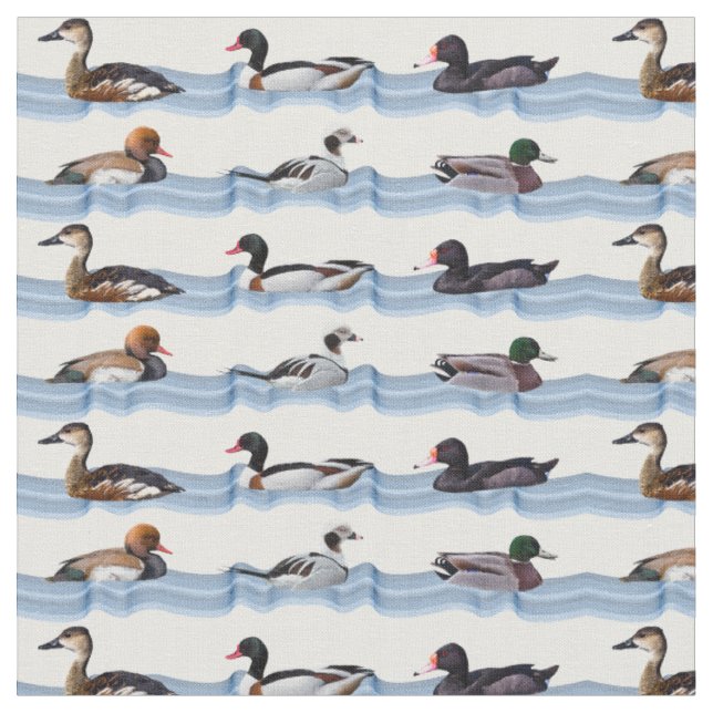 Tela de patos elegantes (De cerca)