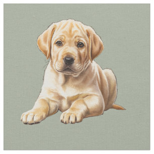 Tela de perro Labrador Retriever amarillo