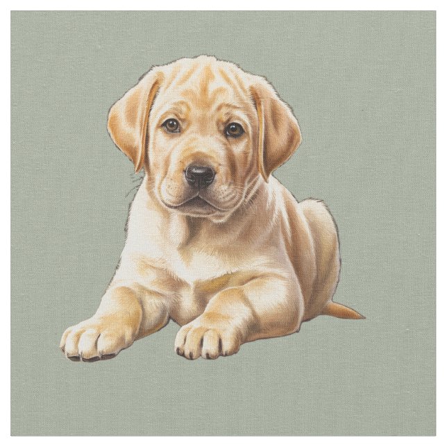 Tela de perro Labrador Retriever amarillo (De cerca)