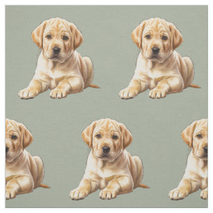 Tela de perro Labrador Retriever amarillo