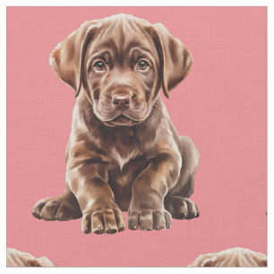 Tela de perro Labrador Retriever de chocolate