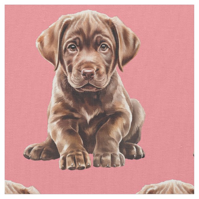 Tela de perro Labrador Retriever de chocolate (De cerca)