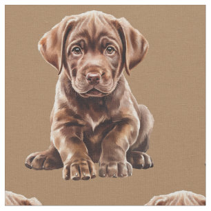 Tela de perro Labrador Retriever de chocolate