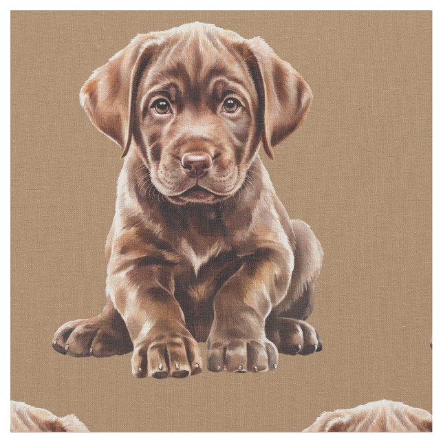 Tela de perro Labrador Retriever de chocolate (De cerca)