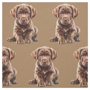 Tela de perro Labrador Retriever de chocolate