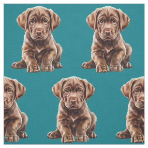 Tela de perro Labrador Retriever de chocolate