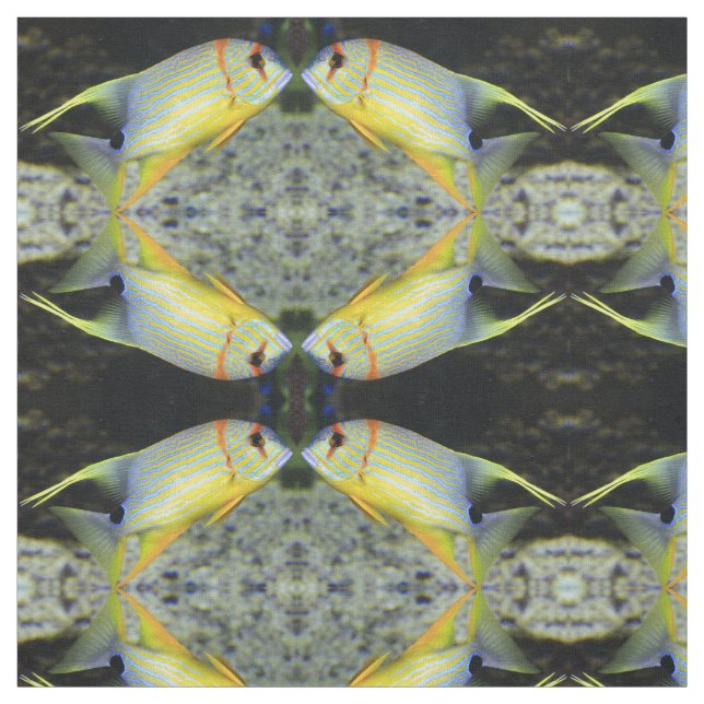 Tela de pescado tropical (Retal)