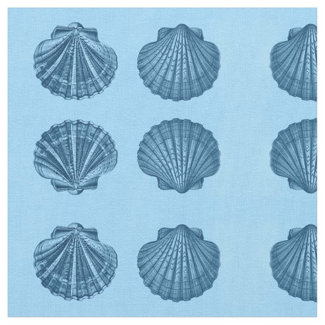 Tela de Shell del mar (De cerca)