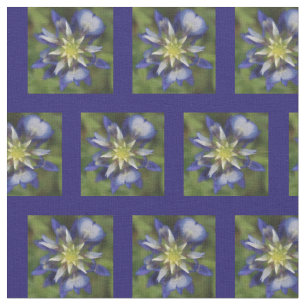 Tela de Texas Bluebonnet