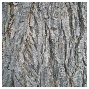 Tela De un árbol