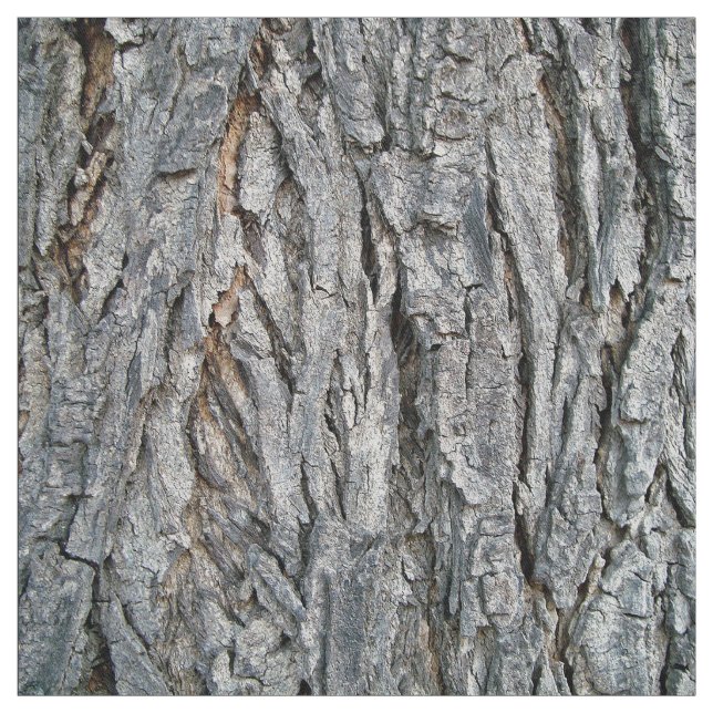 Tela De un árbol (Retal)