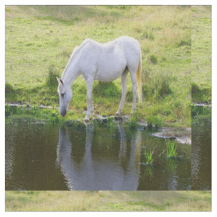 Tela del agua potable del caballo blanco