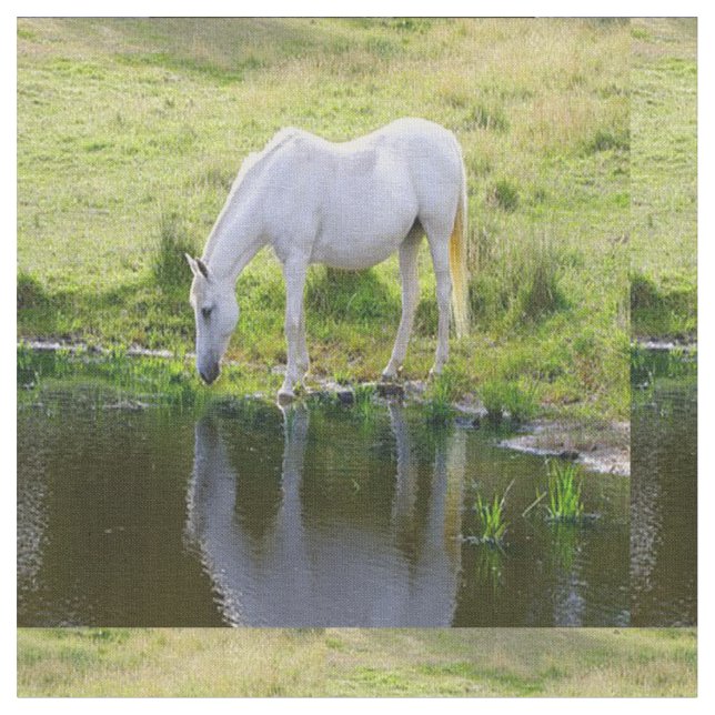 Tela del agua potable del caballo blanco (De cerca)