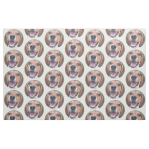 Tela del beagle de la cara a gritar alrededor