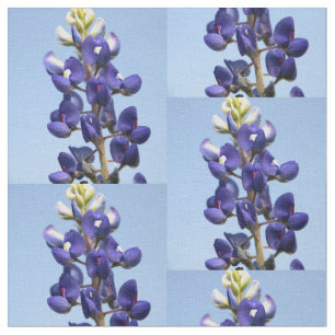 Tela del Bluebonnet de Tejas