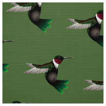 Tela del diseñador del colibrí