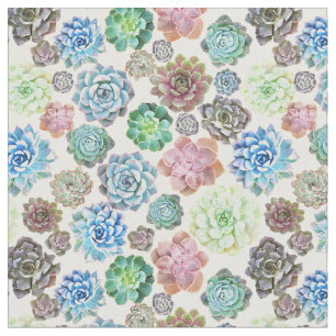 Tela del diseño de los Succulents