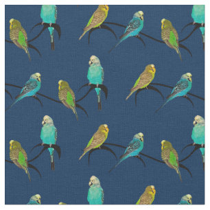 Tela del frenesí de Budgie (marina de guerra)