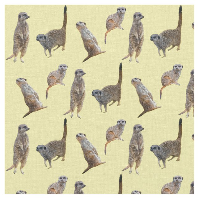 Tela del frenesí de Meerkat (amarillo) (De cerca)