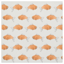 Tela del Goldfish