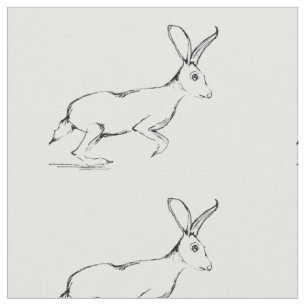 Tela del Jackrabbit