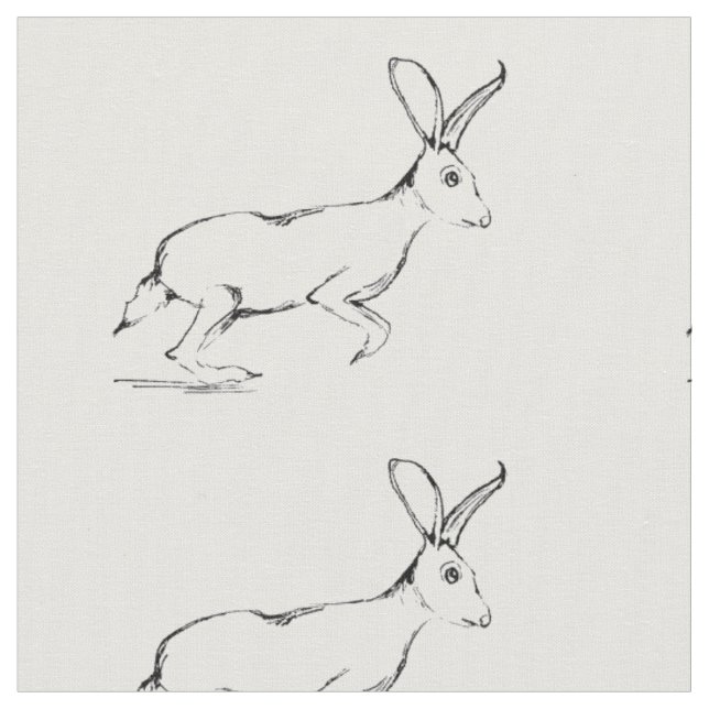 Tela del Jackrabbit (De cerca)