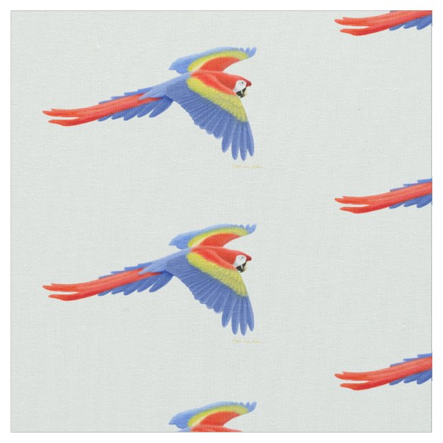 Tela del loro del Macaw del escarlata del vuelo (De cerca)