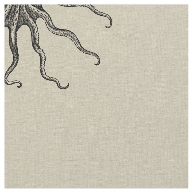 Tela del pulpo, Sandy (De cerca)