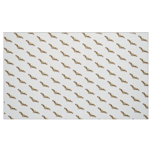 Tela del vuelo del pájaro del halcón de Osprey