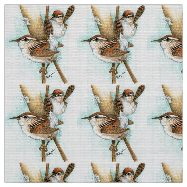 Tela del Wren (Retal)