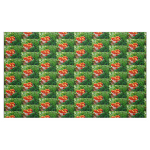 Tela Delicias del Jardín