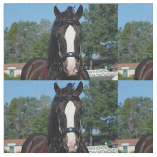 Tela demostración del caballo de proyecto del va del