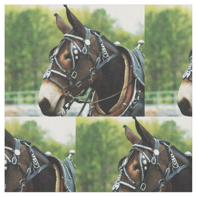 Tela día de la mula (De cerca)