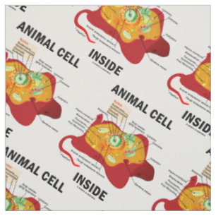 Tela Diagrama de células animales dentro de Eukaryote