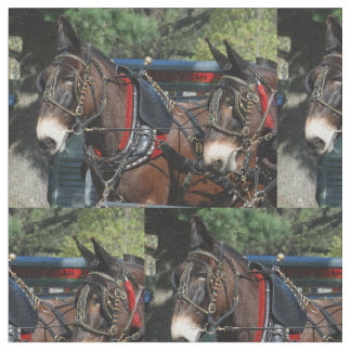 Tela días de la mula