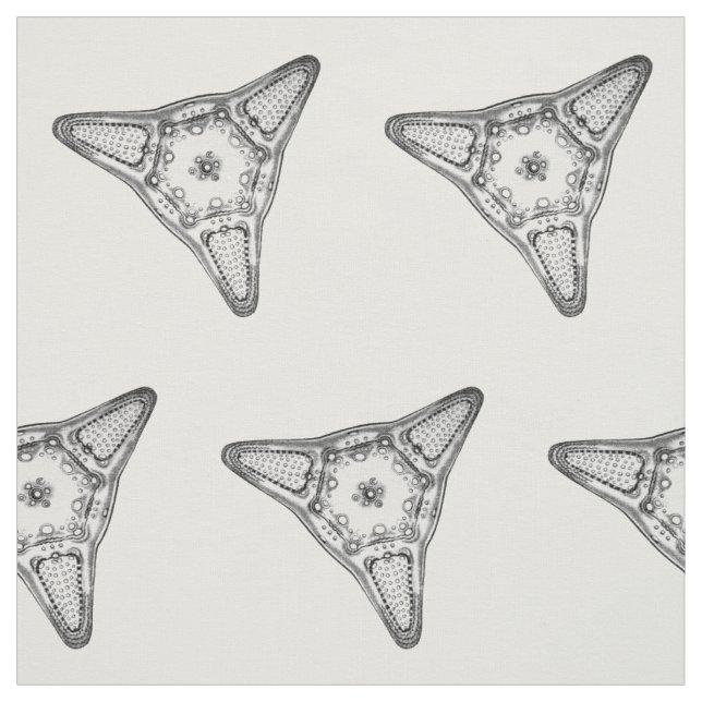 Tela Diatomea (Retal)