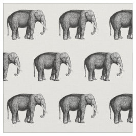 Tela Dibujo Antiguo de Elefante