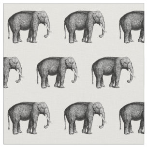 Tela Dibujo Antiguo de Elefante