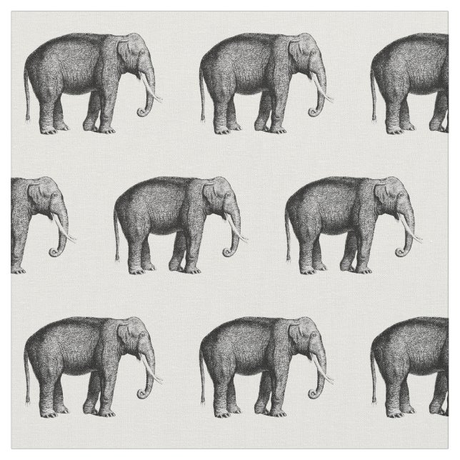 Tela Dibujo Antiguo de Elefante (De cerca)