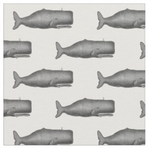 Tela Dibujo de ballenas del siglo XIX N