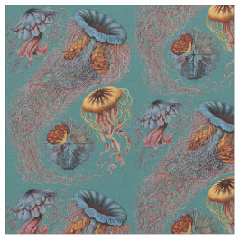 Tela Discomedusae de Ernst Haeckel