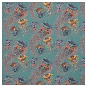 Tela Discomedusae de Ernst Haeckel