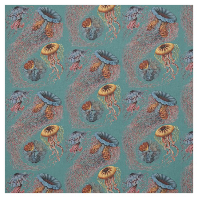 Tela Discomedusae de Ernst Haeckel (Retal)